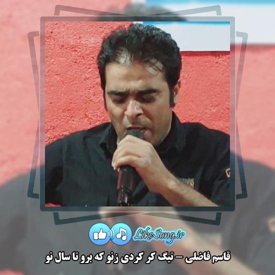 دانلود آهنگ قاسم فاضلی تیگ کر کردی زنو که برو تا سال نو 1 دانلود آهنگ قاسم فاضلی تیگ کر کردی زنو که برو تا سال نو
